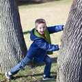 IMG 0596